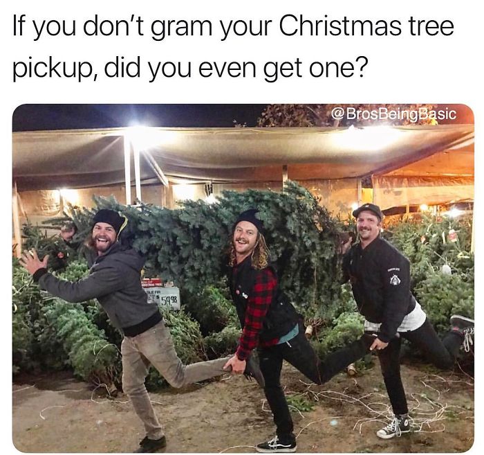 Bros Being Basic - If you don't gram your Christmas tree pickup, did you even get one? Ets C002