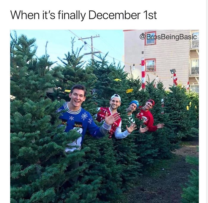 tree - When it's finally December 1st