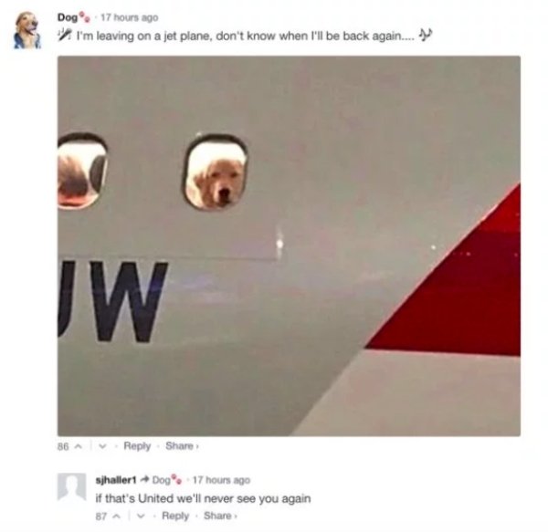 Top Comments of The Year (91 Pics)