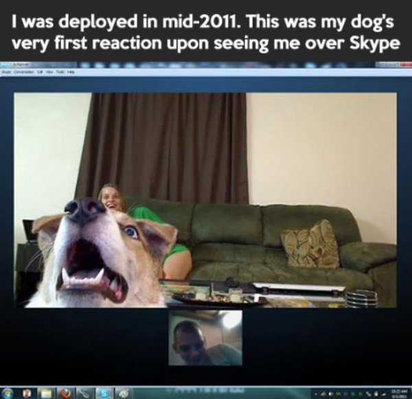 animal funny skype - I was deployed in mid2011. This was my dog's very first reaction upon seeing me over Skype