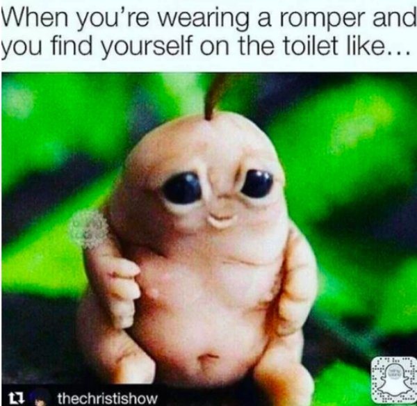 memes - romper bathroom meme - When you're wearing a romper and you find yourself on the toilet ... thechristishow