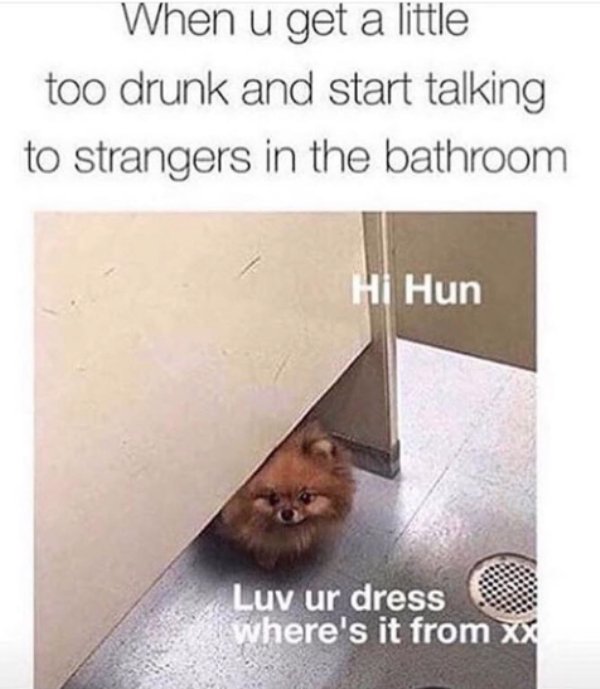 memes - pomeranian meme bathroom - When u get a little too drunk and start talking to strangers in the bathroom Hi Hun Luv ur dress Where's it from xx