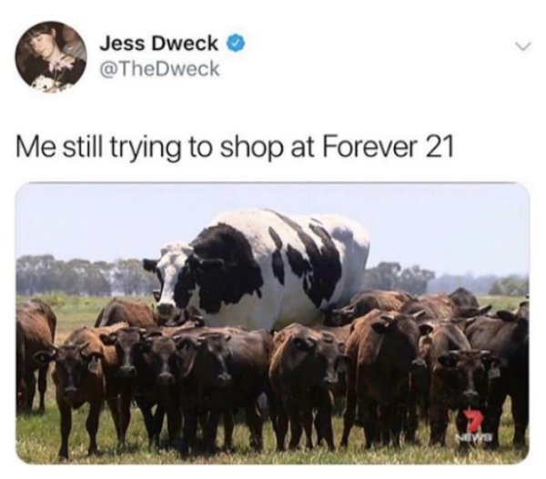 memes - me still trying to shop at forever 21 - Jess Dweck Me still trying to shop at Forever 21