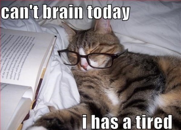 memes - tired memes - can't brain today the i has a tired