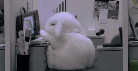 memes - sleepy rabbit gif