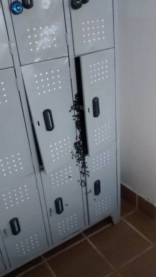 scary locker