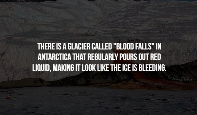 terrifying space facts - There Is A Glacier Called "Blood Falls" In Antarctica That Regularly Pours Out Red Liquid. Making It Look The Ice Is Bleeding.