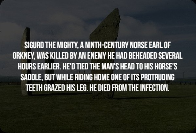 sky - Sigurd The Mighty, A NinthCentury Norse Earl Of Orkney, Was Killed By An Enemy He Had Beheaded Several Hours Earlier. He'D Tied The Man'S Head To His Horse'S Saddle, But While Riding Home One Of Its Protruding Teeth Grazed His Leg. He Died From The…