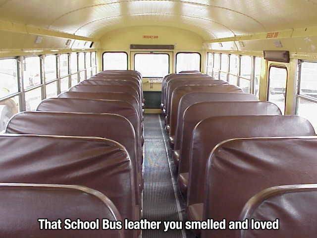 nostalgia back seat of the school bus - That School Bus leather you smelled and loved