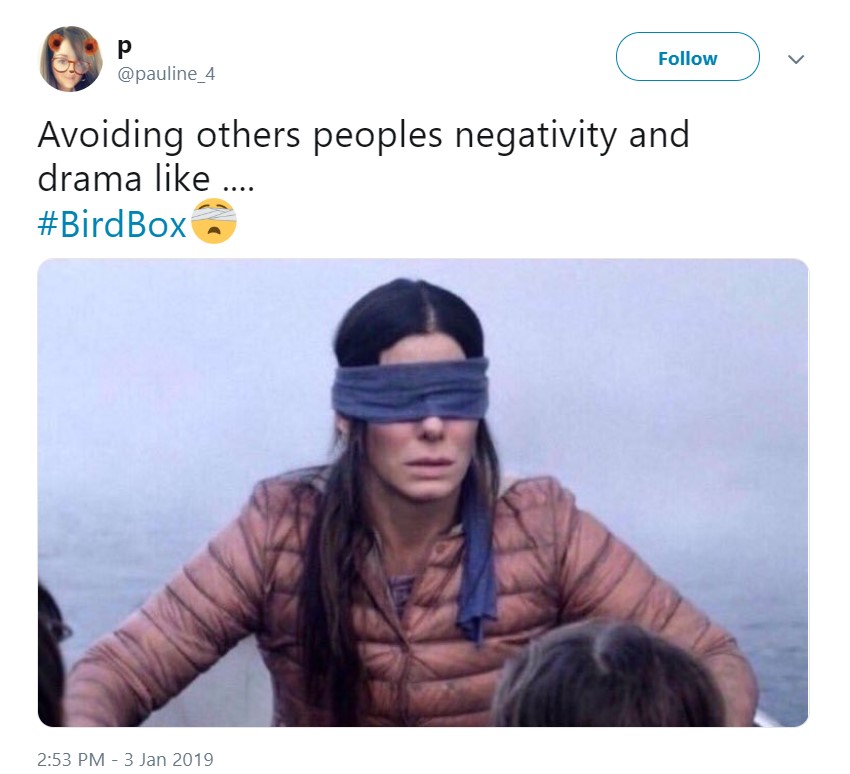 Best Bird Box Memes (9 Pics)