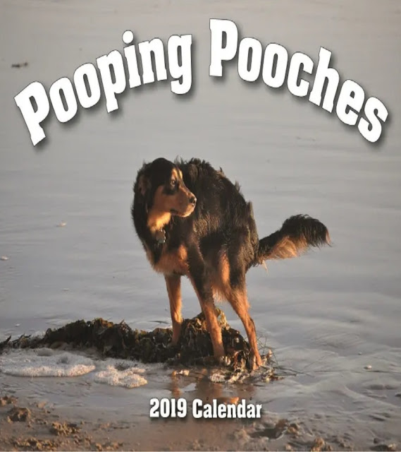 12.) 2019 Pooping Pooches Dog Calendar