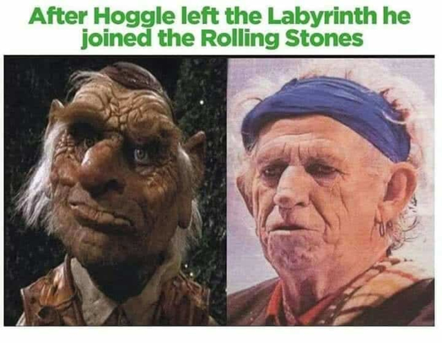 funny pics - of a hoggle keith richards - After Hoggle left the Labyrinth he joined the Rolling Stones