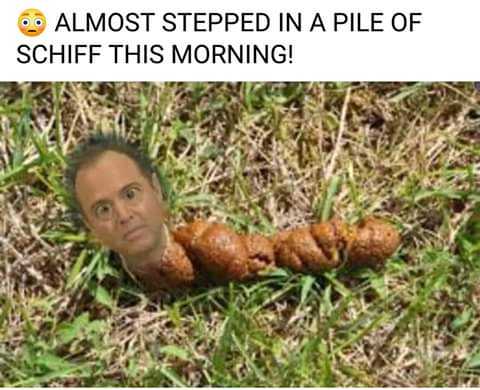 dog poop in grass - O Almost Stepped In A Pile Of Schiff This Morning!