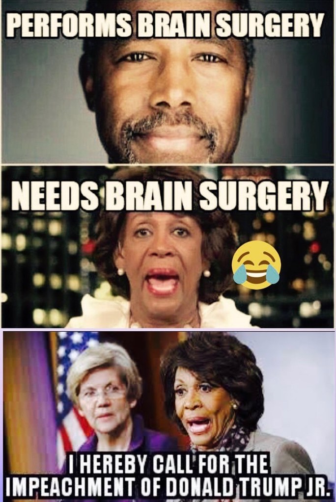 maxine waters trump meme - Performs Brain Surgery Needs Brain Surgery I Hereby Call For The Impeachment Of Donald Trump Jr.