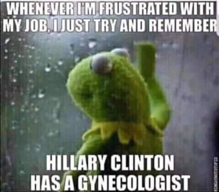 kermit rain window - Whenever I'M Frustrated With My Job, I Just Try And Remember Hillary Clinton Has A Gynecologist