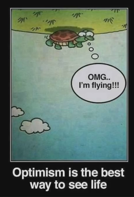 funny inspirational inspirational memes - Omg.. I'm flying!!! Optimism is the best way to see life