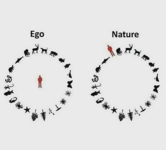ego vs nature - Ego Nature 2017 Se ?