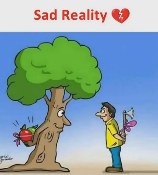 modern life sad reality - Sad Reality 9 orkel