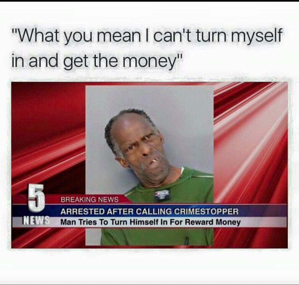 memes - do you mean i can t turn myself in and get the money - "What you mean I can't turn myself in and get the money" Breaking News Arrested After Calling Crimestopper Man Tries To Turn Himself In For Reward Money