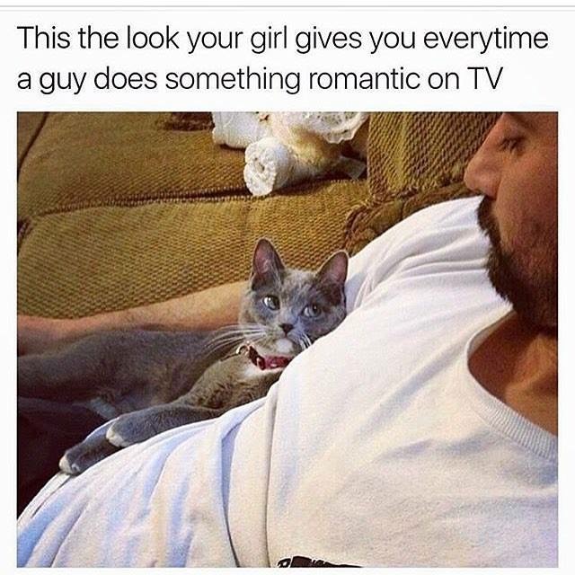 cat people meme - This the look your girl gives you everytime a guy does something romantic on Tv