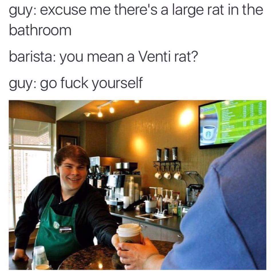starbucks venti rat meme - quy excuse me there's a large rat in the bathroom barista you mean a Venti rat? guy go fuck yourself