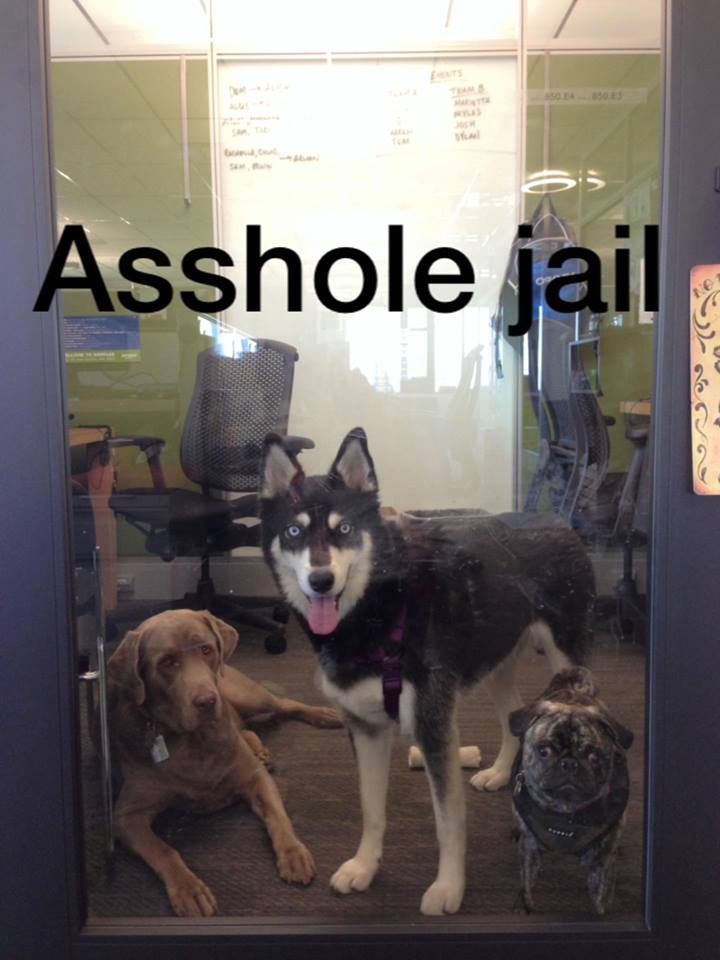 snout - Asshole jail