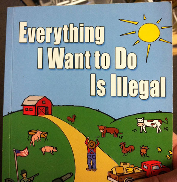 children's book title - Everything I Want to Do Is lilegal