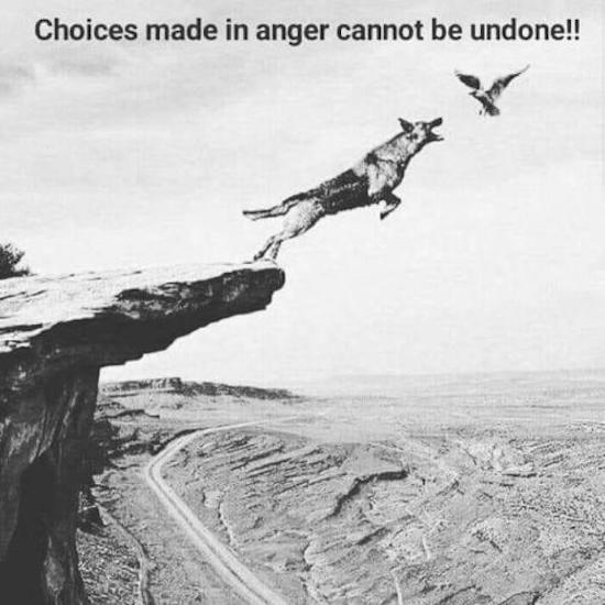 choices made in anger cannot be undone - Choices made in anger cannot be undone!!