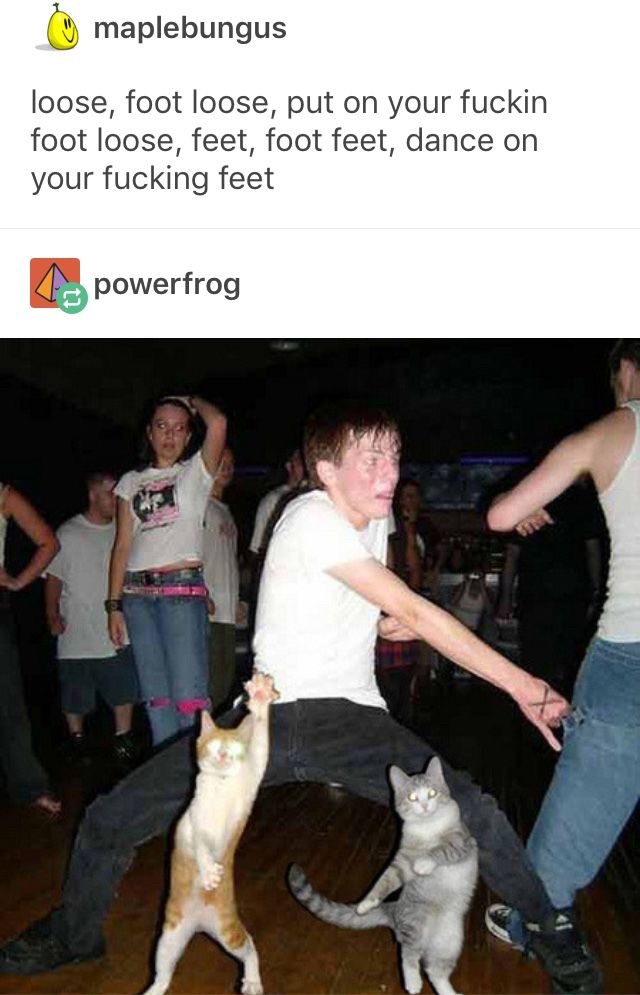 people dancing with cats - maplebungus loose, foot loose, put on your fuckin foot loose, feet, foot feet, dance on your fucking feet to powerfrog