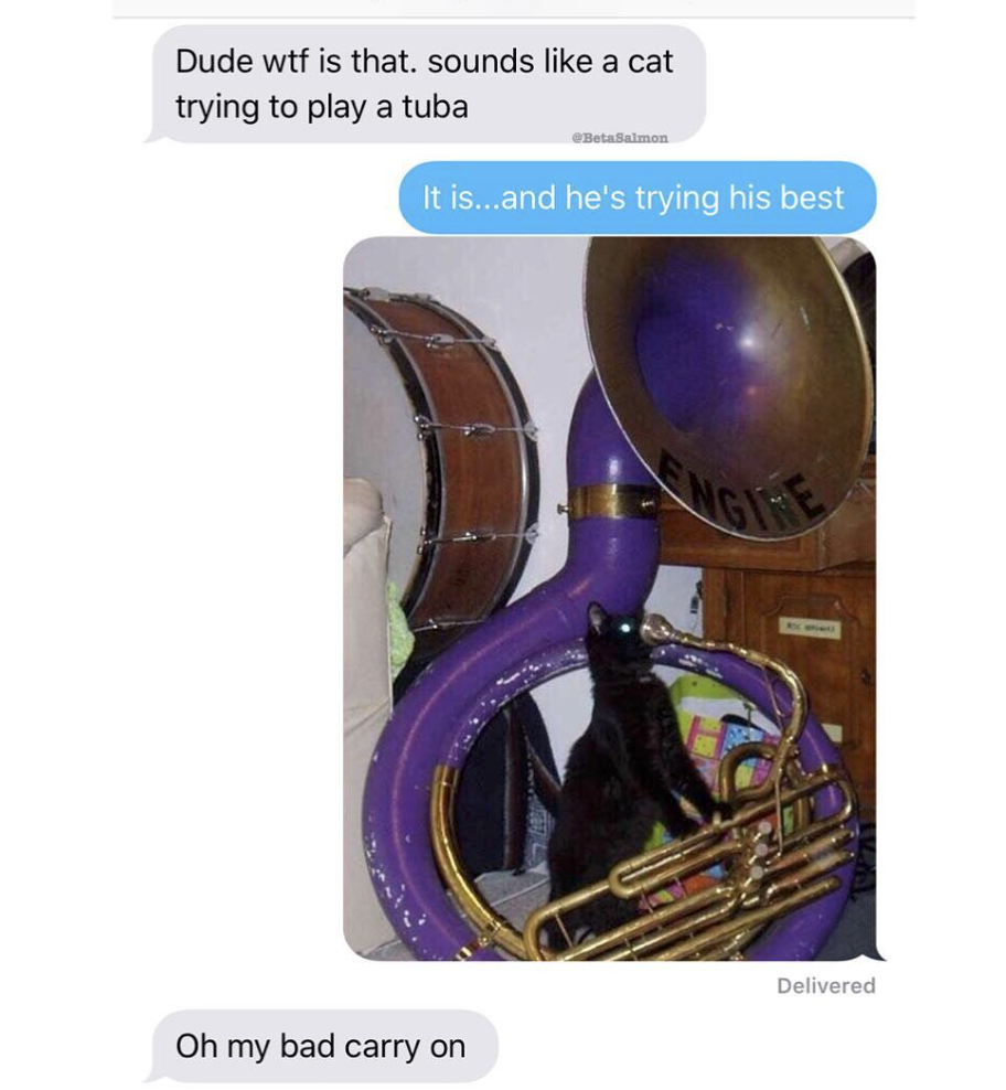tuba memes - Dude wtf is that sounds a cat trying to play a tuba It is...and he's trying his best Delivered Oh my bad carry on