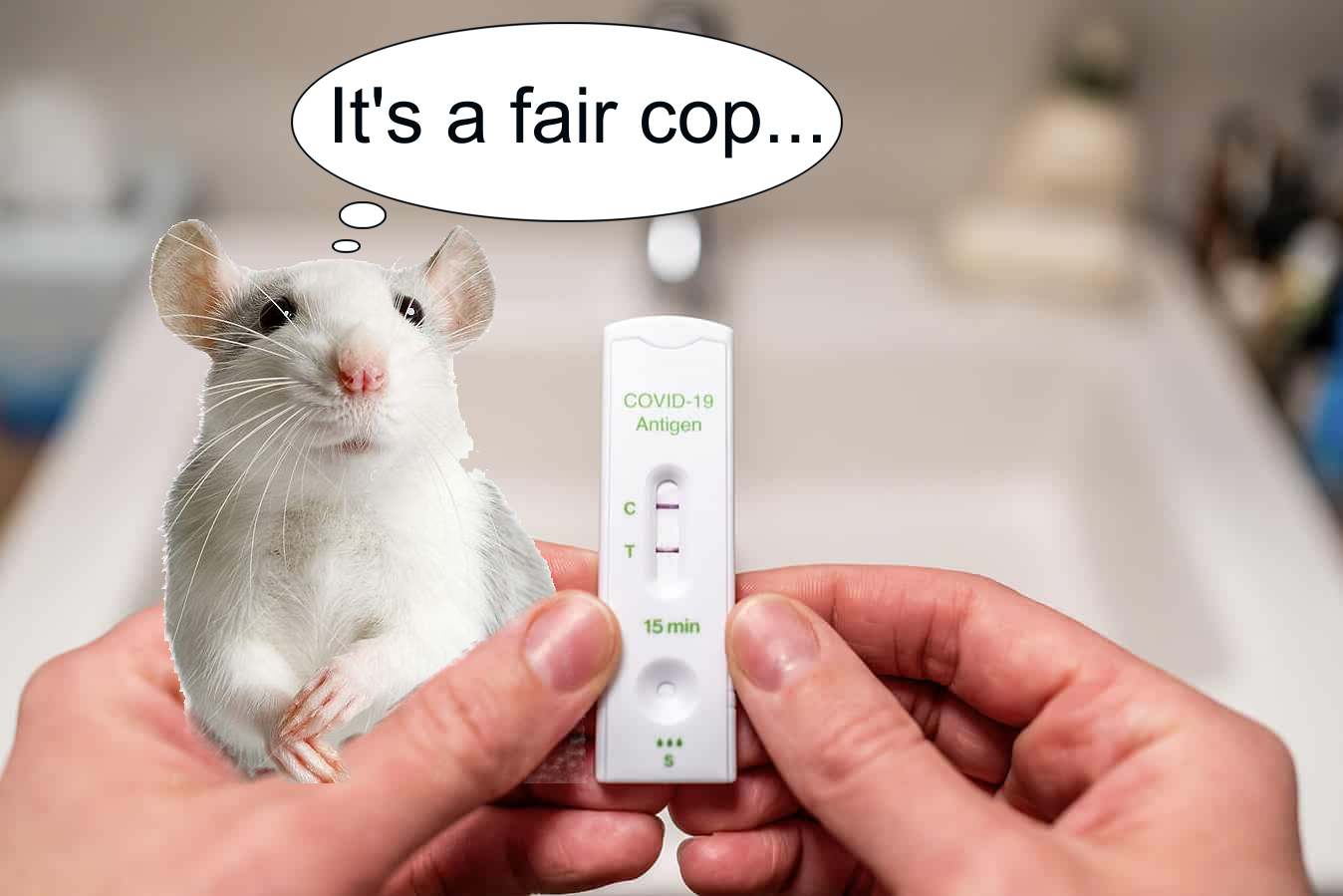 A fun image to send to people who are getting tested for RATS.