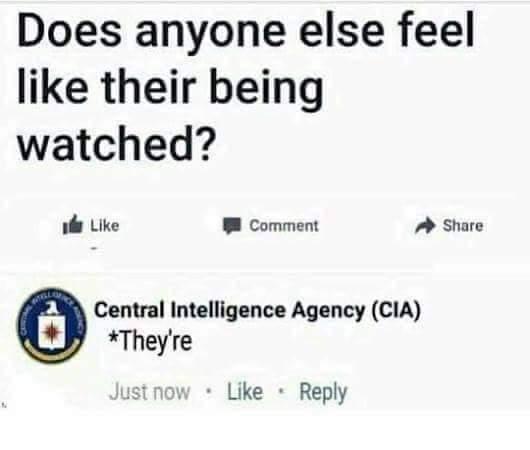 cia twitter funny - Does anyone else feel their being watched? Comment A Central Intelligence Agency Cia They're Just now