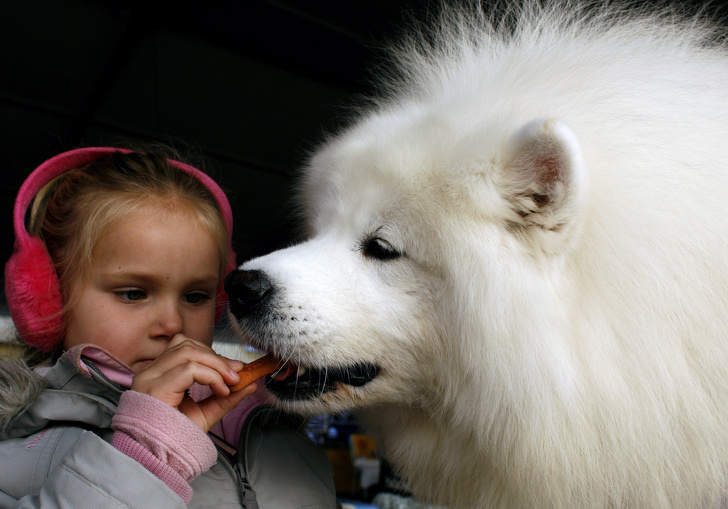 5 powerful photos that Leave a Lasting Impression on You