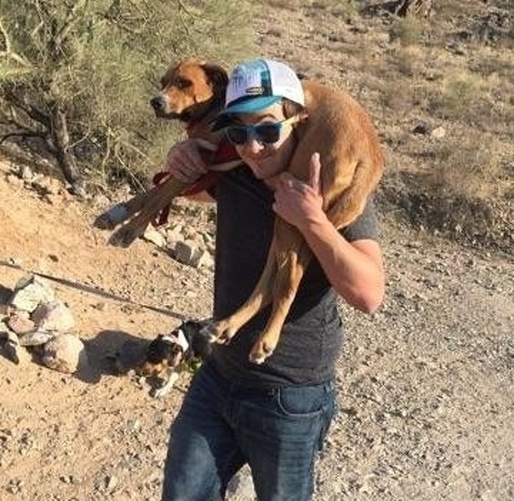 “I was hiking with my dog when he cut up his paws in the middle of the hike. My friend drove to the hiking trail, hiked to find us, and carried him the whole way out.”