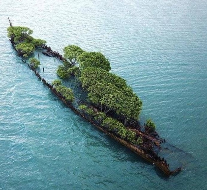 A shipwreck off the coast of Magnetic Island in 1916