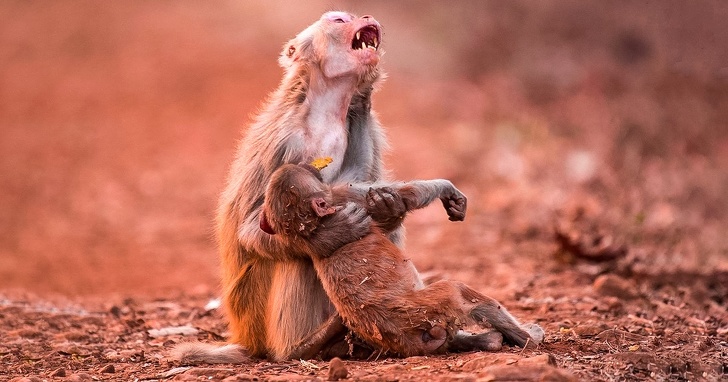 Mother holds her child who just fell from high up.