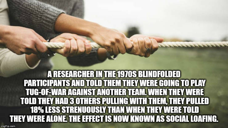 hand - A Researcher In The 1970S Blindfolded Participants And Told Them They Were Going To Play TugOfWar Against Another Team. When They Were Told They Had 3 Others Pulling With Them, They Pulled 18% Less Strenuously Than When They Were Told They Were Alo
