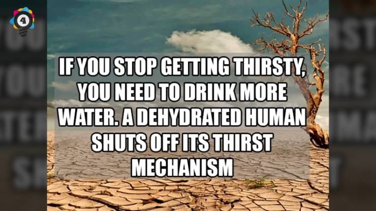 biome - If You Stop Getting Thirsty, You Need To Drink More Water. A Dehydrated Human Shuts Off Its Thirst Mechanism