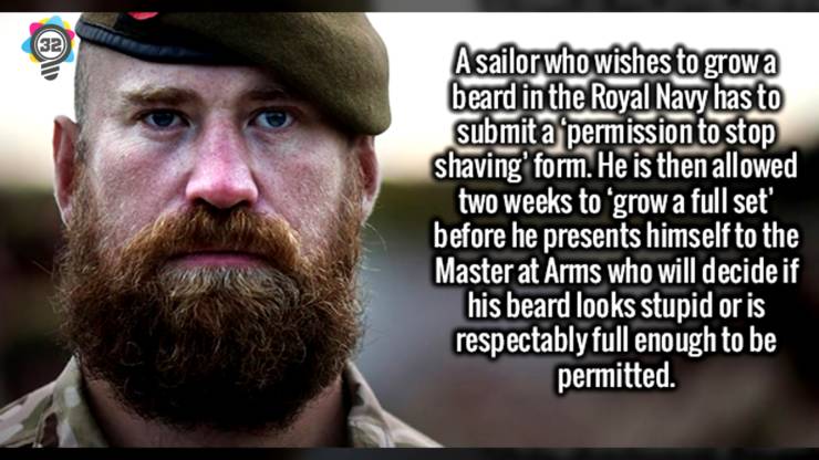 beard fact memes - A sailor who wishes to grow a beard in the Royal Navy has to submit a permission to stop shaving' form. He is then allowed two weeks to grow a full set' before he presents himself to the Master at Arms who will decide if his beard looks