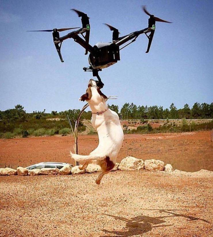 humour drone