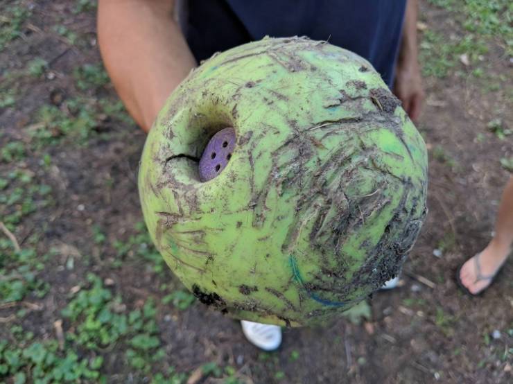 “An extremely durable ball”It’s called Wiggly Giggly. It’s a toy for kids, but people usually buy them for their dogs because they are really durable.