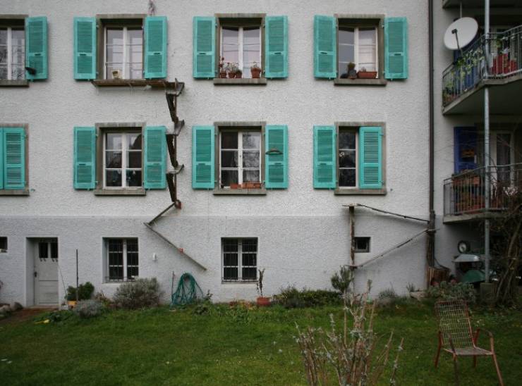 cat ladders switzerland