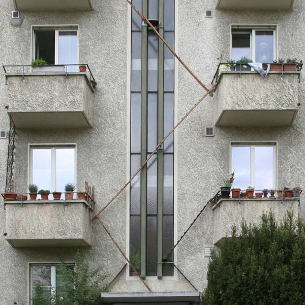 swiss cat ladders