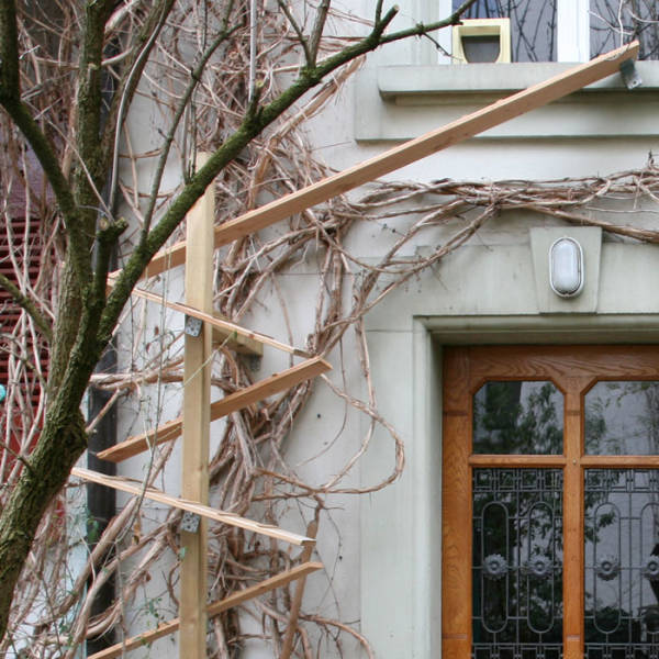 The vine plantations belonging to the façade are not affected: grapevines and the wood of the cat ladder complement each other.