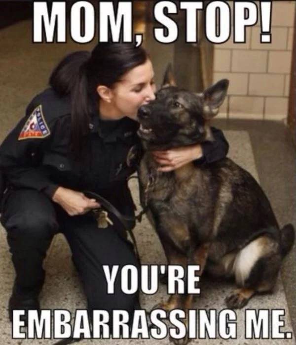 service dog memes - Mom, Stop! You'Re Embarrassing Me.