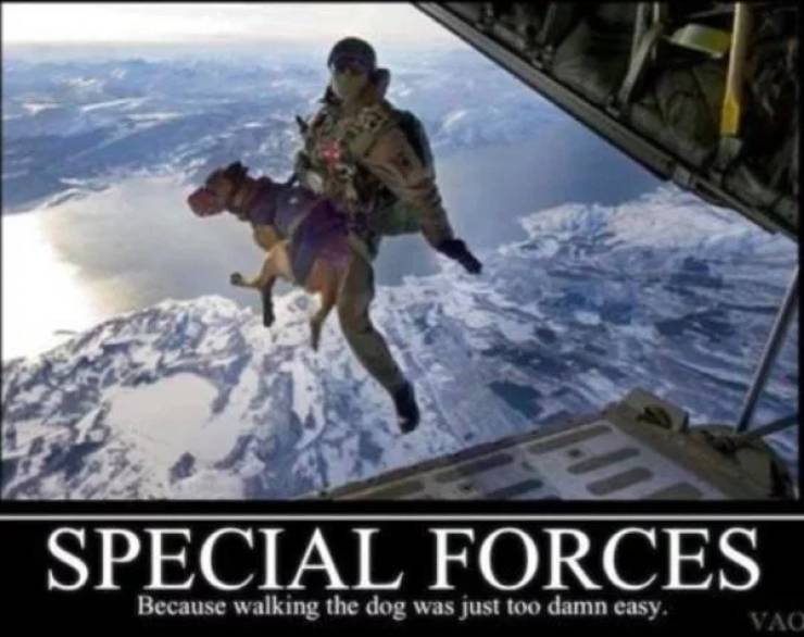 funny special forces memes - Special Forces Because walking the dog was just too damn easy.
