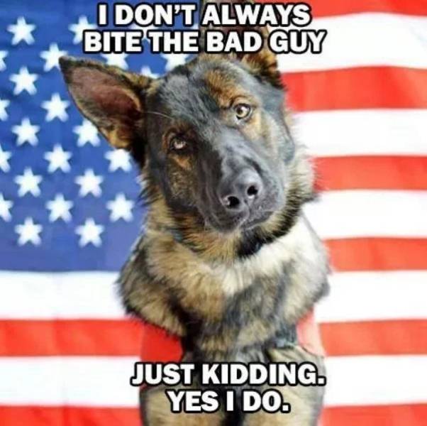 service dogs memes - I Don'T Always Bite The Bad Guy X Just Kidding. Yes I Do.