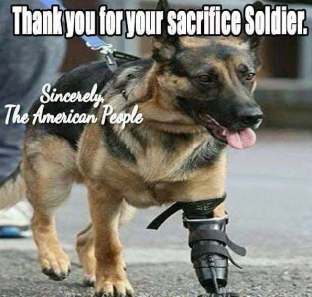 thank you for your service soldier - Thank you for your sacrifice Soldier. Sincerely The American People
