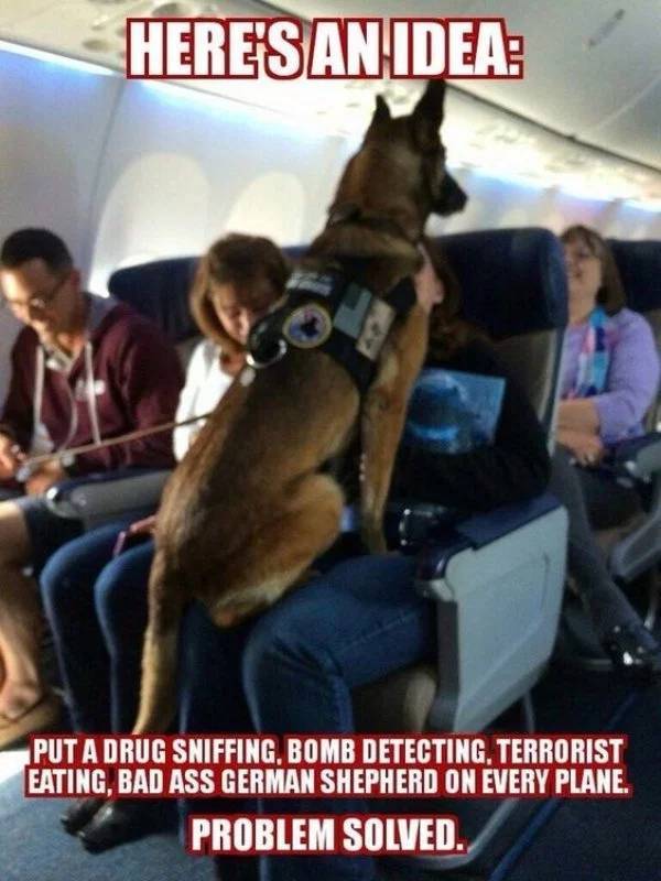 funny service animals - Heresan Idea Put A Drug Sniffing. Bomb Detecting, Terrorist Eating. Bad Ass German Shepherd On Every Plane, Problem Solved.