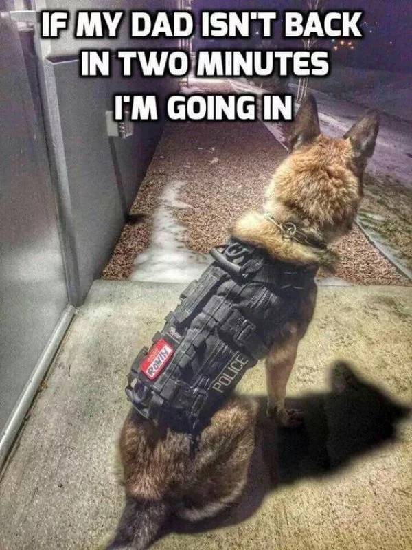service dog meme - If My Dad Isn'T Back In Two Minutes I'M Going In Ronim Police